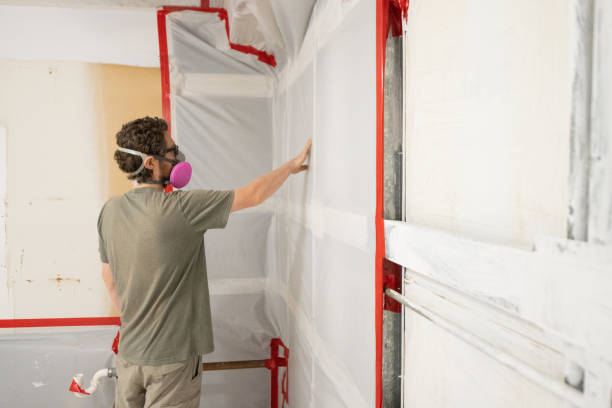 Professional Mold Removal in Zeeland, MI