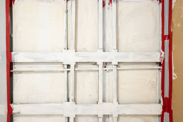 Mold Odor Removal Services in Zeeland, MI