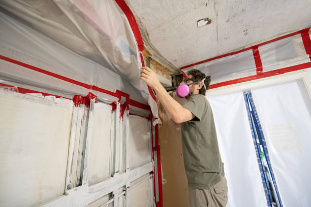 Best Mold Damage Restoration  in Zeeland, MI